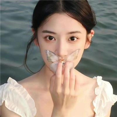 追星星的人第三季